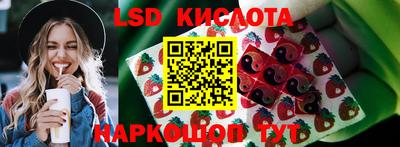 прущие крисы Новодвинск