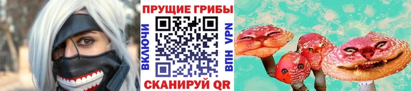 Галлюциногенные грибы мицелий хочу Нурлат