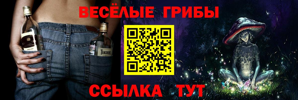 Галлюциногенные грибы GOLDEN TEACHER Нурлат