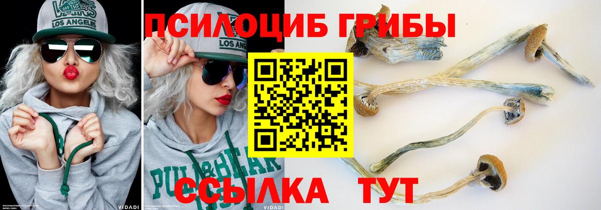 Галлюциногенные грибы Нурлат